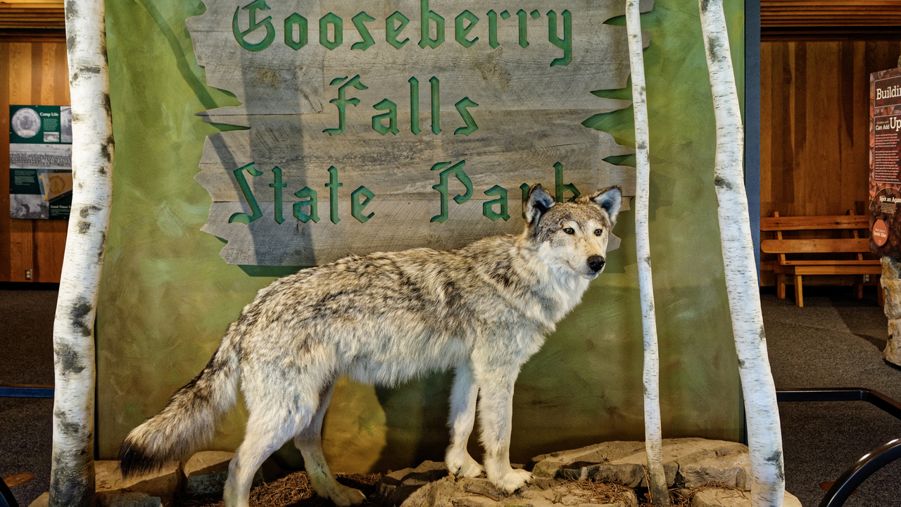 20190806-124352•Gooseberry Falls State Park•Two Harbors•Minnesota•USA